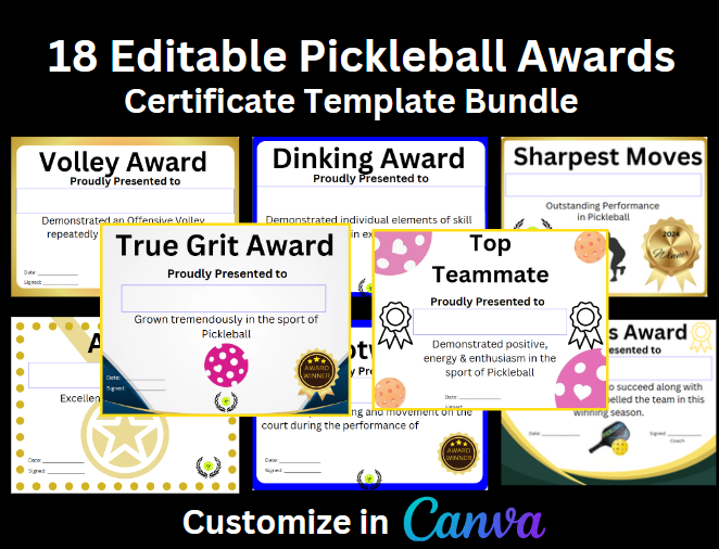 New Product Launch Pickleball Awards